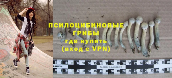 хмурый Белокуриха